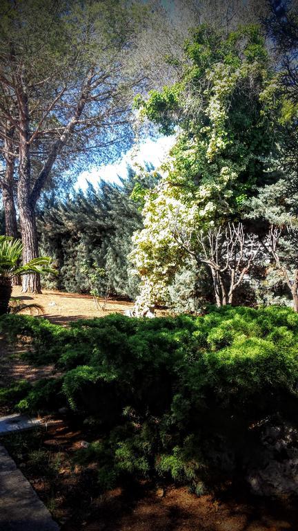 La Ambienti Sanificati Con Generatore Di Ozono 2* Bari